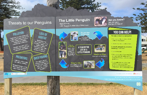 Penguin Sign-665